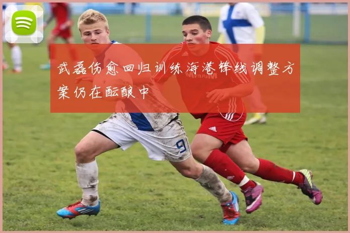武磊伤愈回归训练海港锋线调整方案仍在酝酿中
