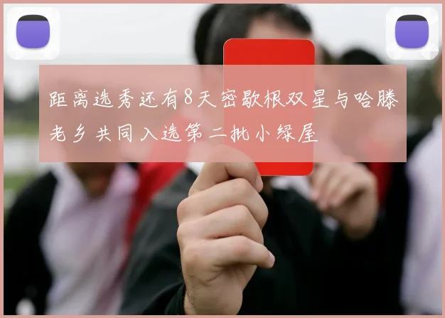 距离选秀还有8天密歇根双星与哈滕老乡共同入选第二批小绿屋