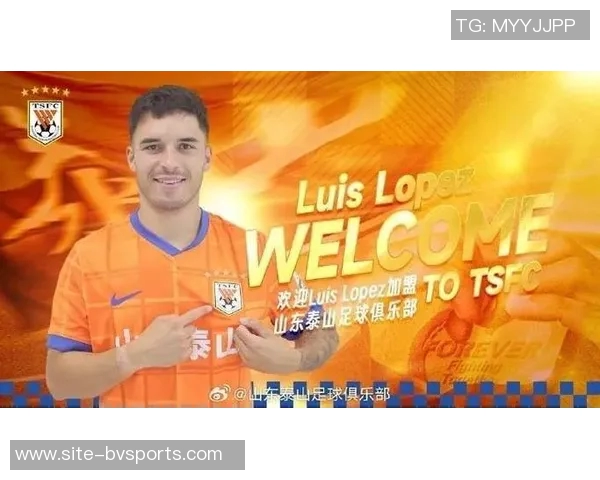 媒体人透露泰山中卫外援进展缓慢多位经纪人推荐新外援人选